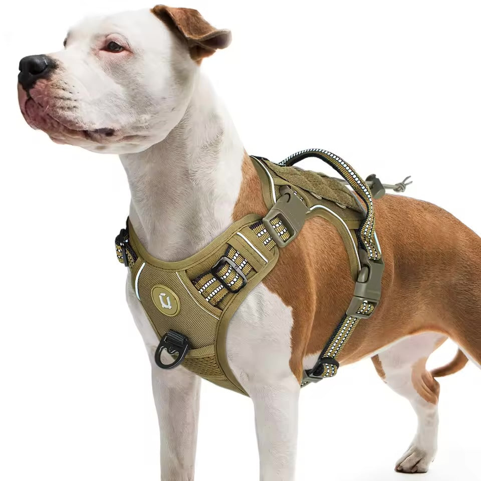 Harnais Tactique Anti-Traction pour Grand Chien — Réglable & Respirant